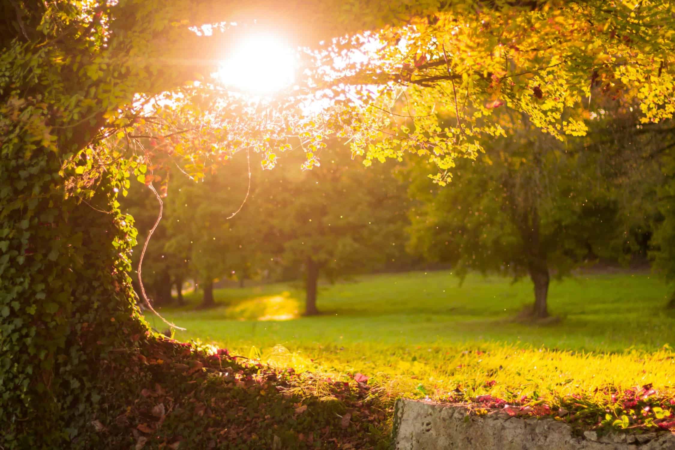 Masterclass Yoga Relaxatie - locatie